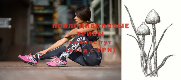 мяу мяу мука Баксан