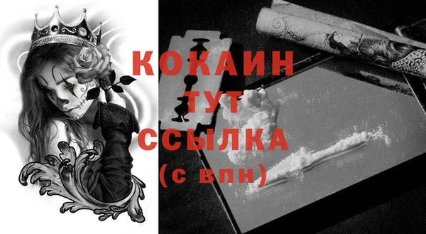 мяу мяу мука Баксан