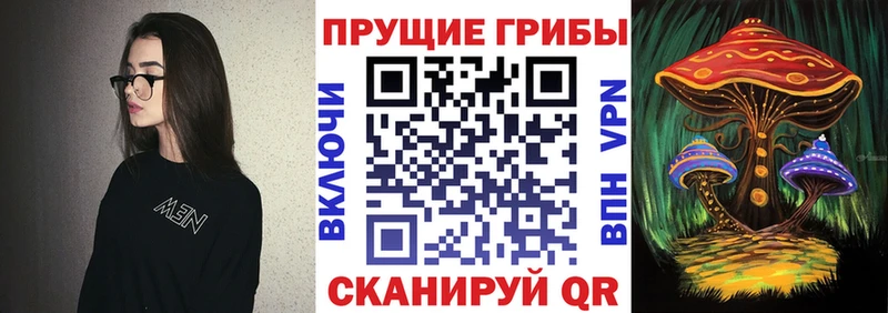 Галлюциногенные грибы Cubensis  Ряжск 